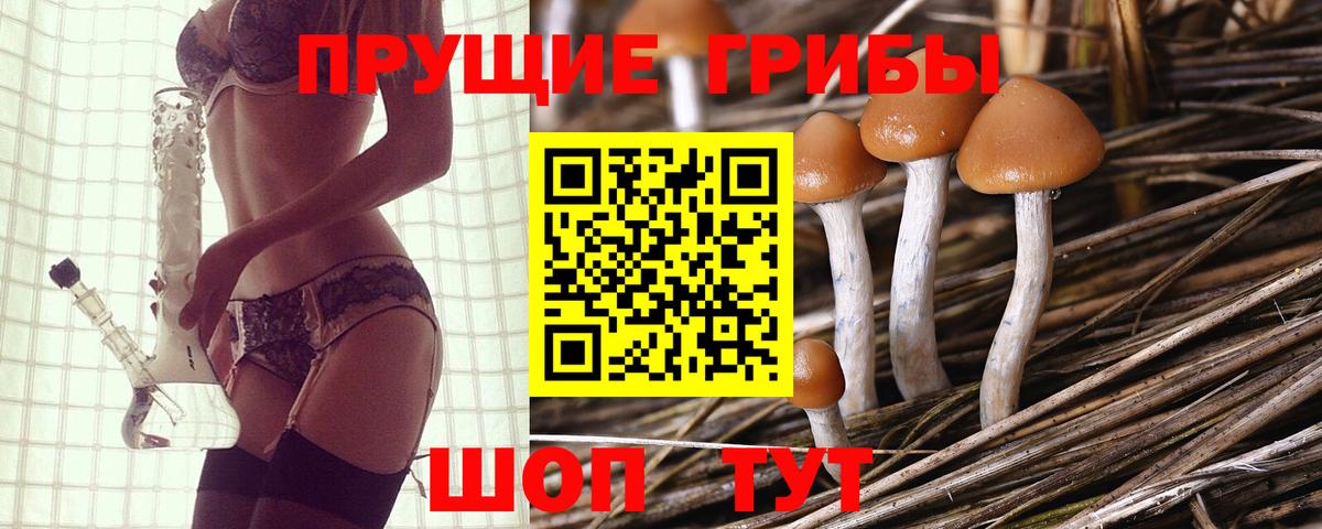 Галлюциногенные грибы Psilocybe Химки