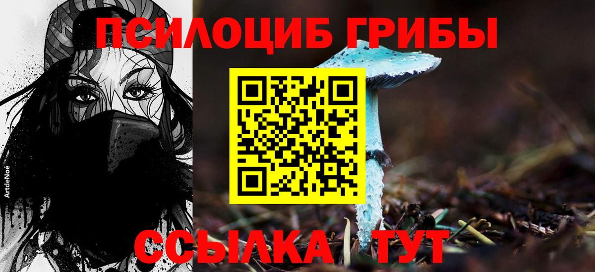 Псилоцибиновые грибы мицелий  Вход с VPN  Химки 